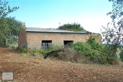 Old farm to rebuild with nearly 8 hectares of olive grove and 250 m2 of property Filandri-