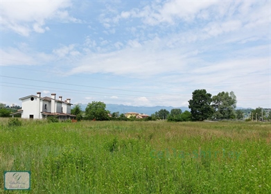 In the heart of Prosecco land two houses for sale with 6000 m2 of land.
The property is l