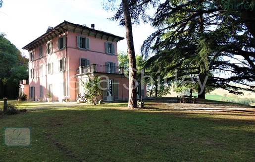Estate with olive grove in Le Marche Tolentino
Elegant liberty villa over 3 floors for a 