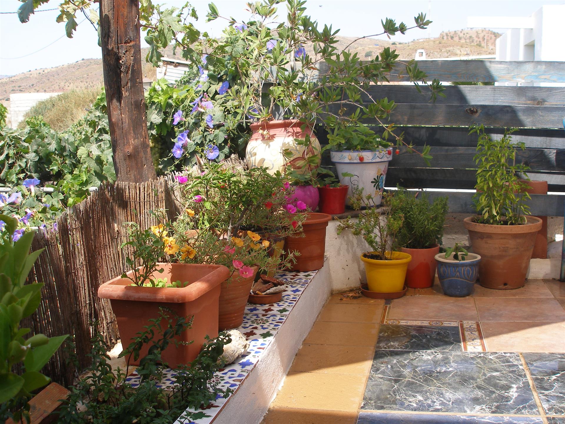 Casa Sat Traditional Spaniol Cu Terasă Cu Uimitoare Vederi