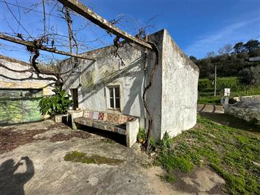 Farmhouse To Recover With 3 Houses In Portalegre Near The Polytechnic Institute 