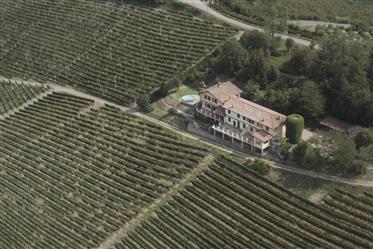 Ljust radhus med 5,5 rum med pool i Mango, Piemonte (It)