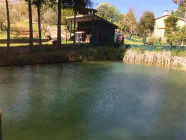 Quinta Rustica, com moradia T4 com  piscina, anexos, furo de água e garagem - Santarém