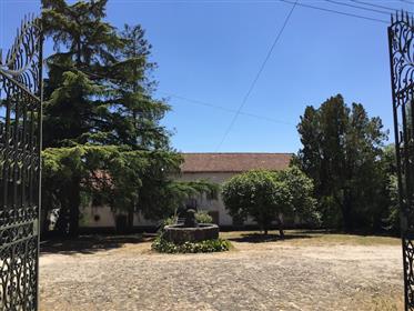 Quinta Das Palmeiras Manor House