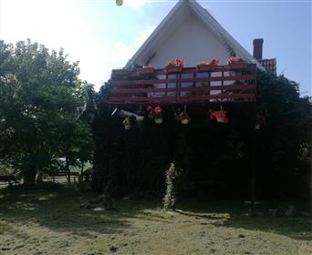 House Land Near The Padurea Sacaseni Satu Mare