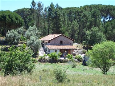 Quinta Holiday Cottage Casa Rustico With Guest House In The