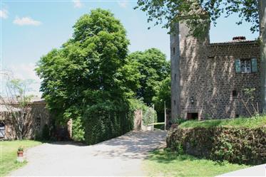 Beautiful Castle for Sale Occitanie