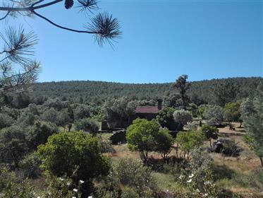 Exceptional - 2.5-hectare estate within the Monfragüe Nation...