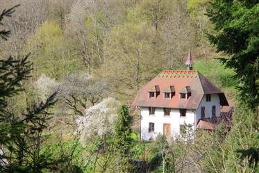 Fantástica propiedad Toggenbach Alsace (F)