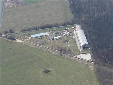 Real estate near Bucharest. Great position for investing!