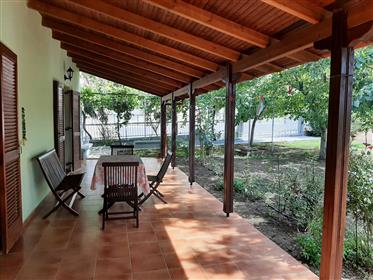 Beautiful little villa, surrounded by greenery, for sale in the centre of the historic village of V