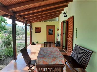Beautiful little villa, surrounded by greenery, for sale in the centre of the historic village of V