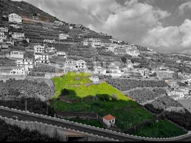 Terreno Com Palheiro Caminho Do Terço Caminho Da Alforra,  Câmara De Lobos