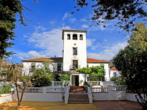 This unique property includes a palace and two other smaller houses, surrounded by extensi