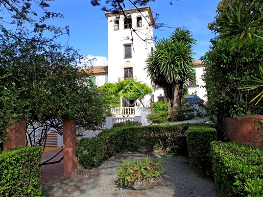 This unique property includes a palace and two other smaller houses, surrounded by extensi