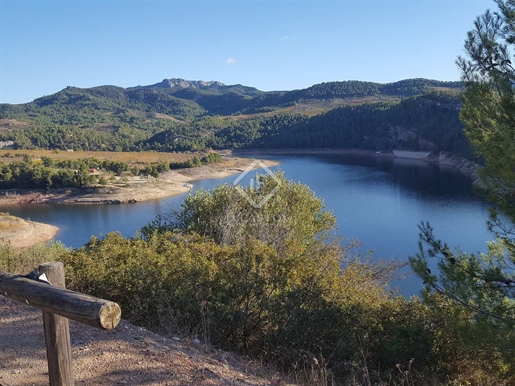 The set of plots has an area of 8.5 hectares and is located in Els Guiamets, between the S