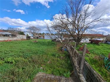 Building Plot In Strofilia-North Evia