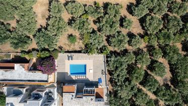 A just-built first floor apartment with a pool in Tavronitis