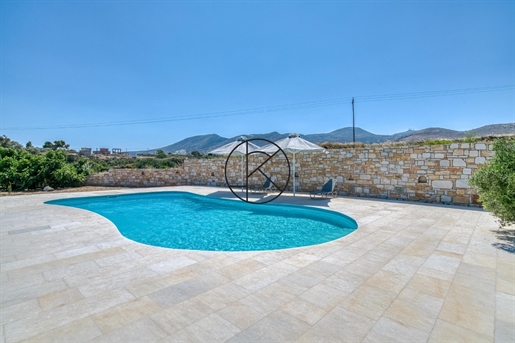 Stone house with sea view, swimming pool, roof terrace and Naxos marble.