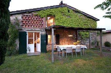 Onroerend Goed Lucca 55100 33 Huizen Te Koop