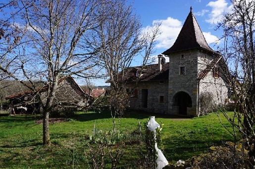 Maison en pierre et terrain