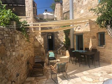Μαστιχόρια (Χίος - Κοΐνη) : μια μοναδική ευκαιρία
