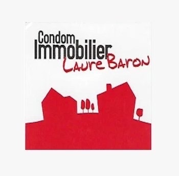 Condom immobilier