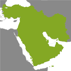 Immobilien Mittlerer Osten