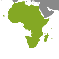 Immobiliare Africa