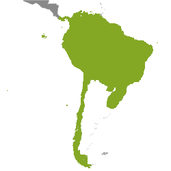 Immobilier Amérique du Sud