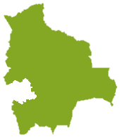 Nieruchomość Boliwia