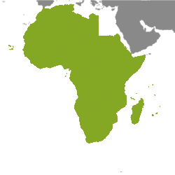 Nehnuteľnosť Afrika