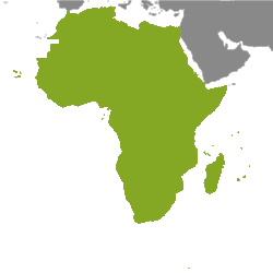 Fastighetsobjekt Afrika
