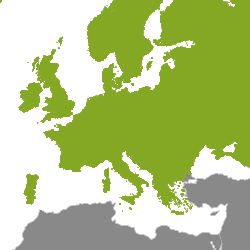 Immobiliare Europa