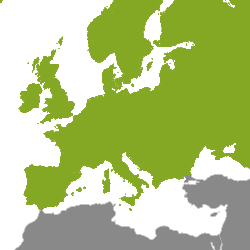 Fastighetsobjekt Europa