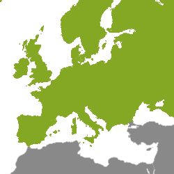Imobiliar