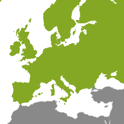 Immobilie Europa