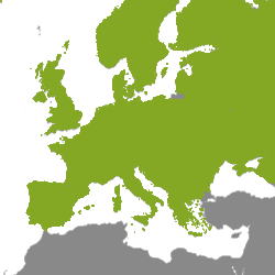 Immobilie Europa