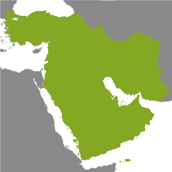 Immobiliare Medio Oriente