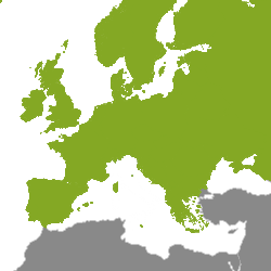 Nehnuteľnosť Európa