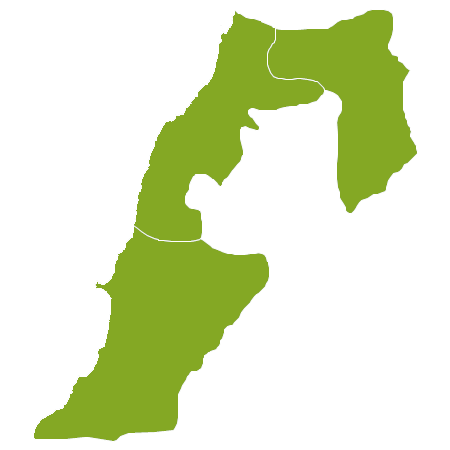 Nieruchomość South Lebanon