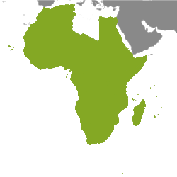 Nieruchomość Afryka