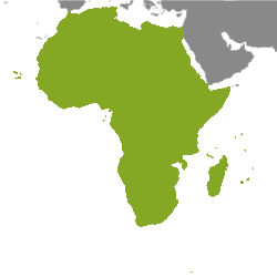 Eiendom Afrika