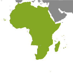 Eiendom Afrika