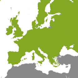 Nekretnine Europa