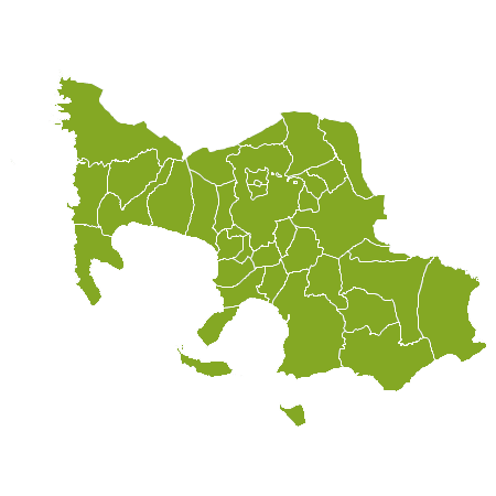 Immobilie Batangas