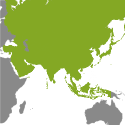 Nehnuteľnosť Ázia