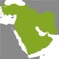 Eiendom Midtøsten