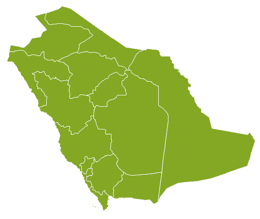 Property Saudi Arabia