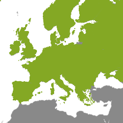 Nieruchomość Europa
